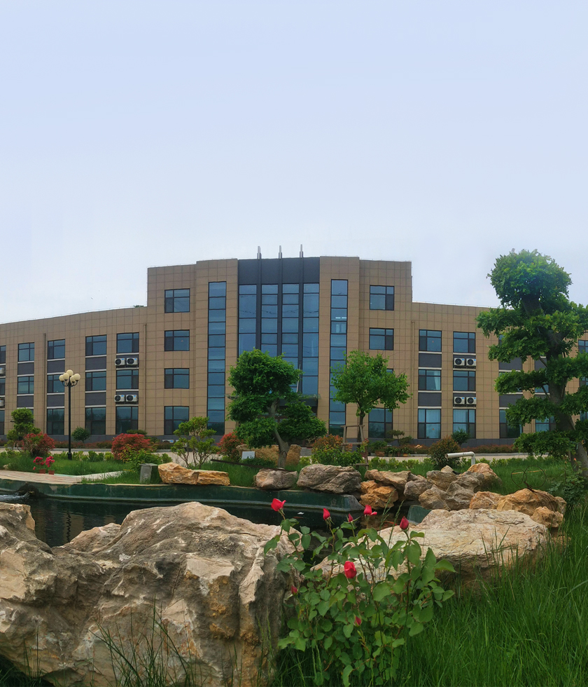 ��վ����